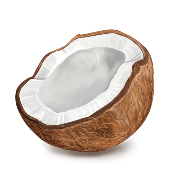 Coconut