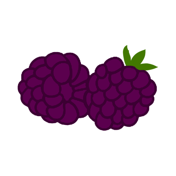 forest berries